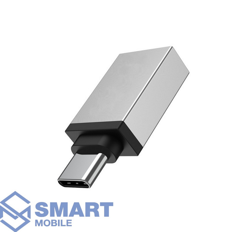 USB-OTG Type-C DENMEN DU10 (серебро)