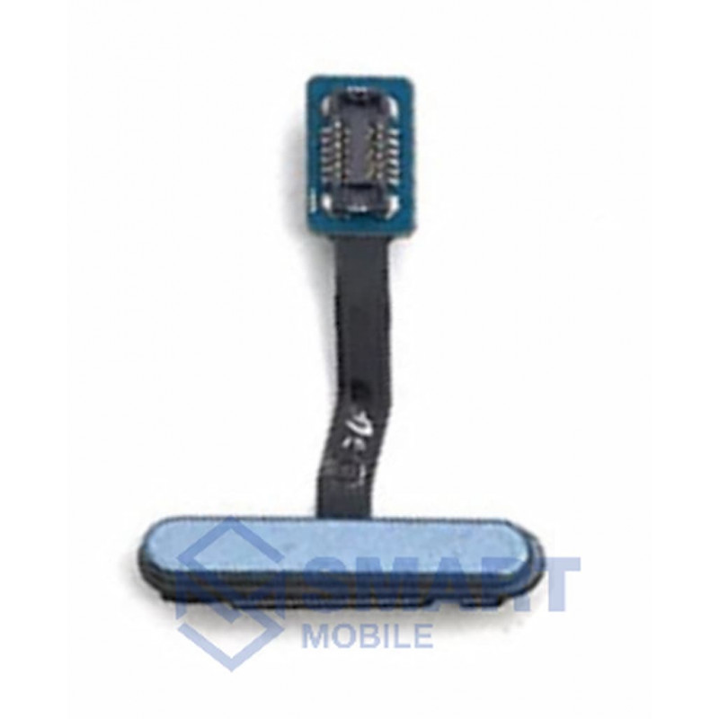 Шлейф для Samsung Galaxy G970F S10e + сканер отпечатка (голубой)